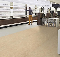 Forbo Marmoleum Decibel on Order 249935 sand фото 2 | FLOORDEALER